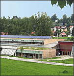Lindenberg